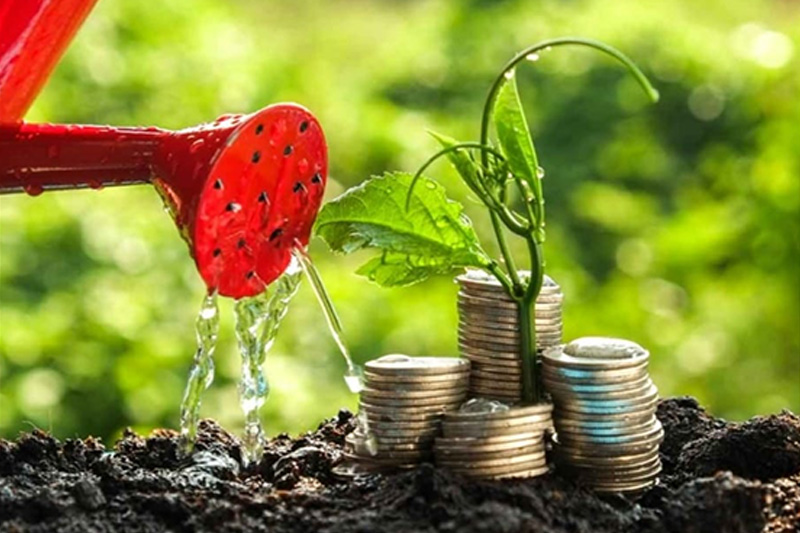 Financial Education & Well-being